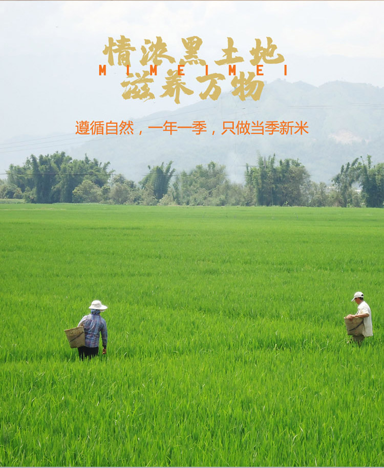 详情8.jpg