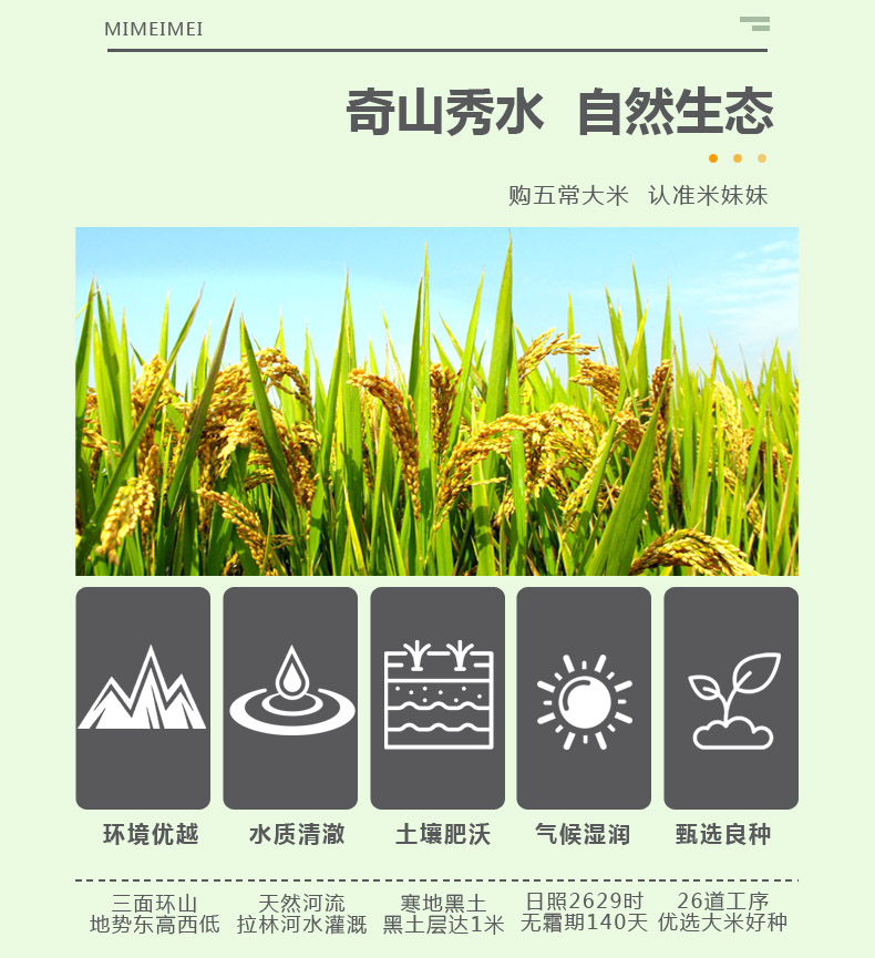 详4.jpg